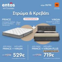 entos-box-offer
